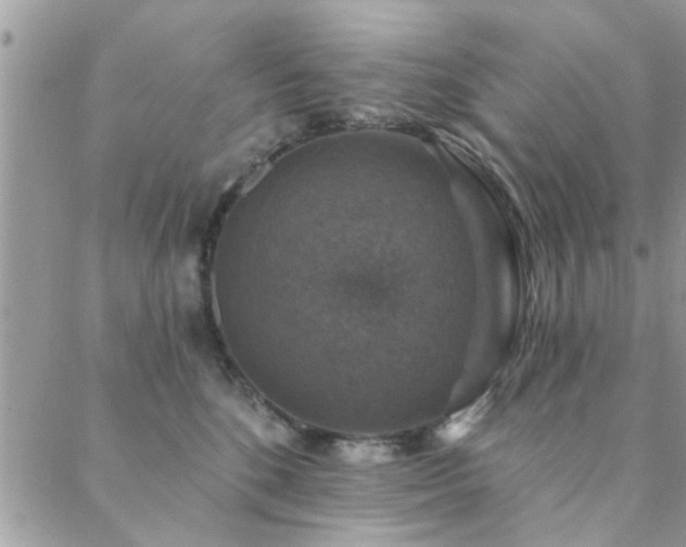 X0000088430520200705221250