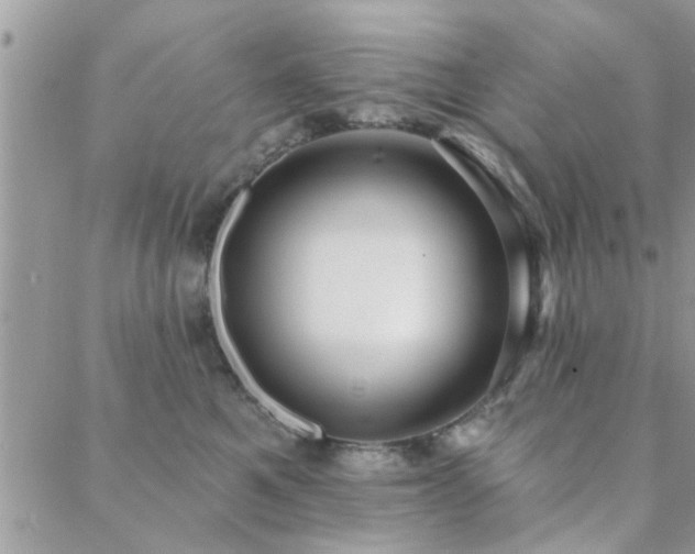 X0000088430521200705221250