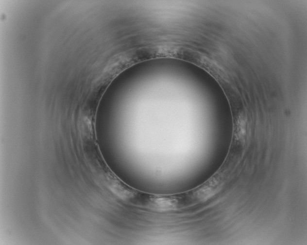 X0000088430522200705221250