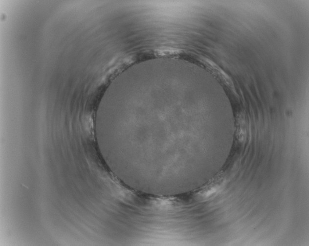 X0000088430523200705221250