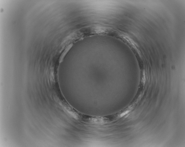 X0000088430524200705221250