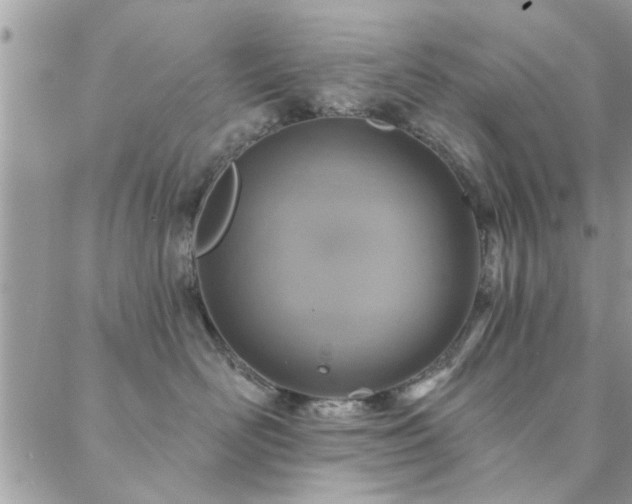 X0000088430526200705221250