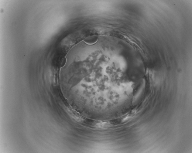 X0000088430527200705221250