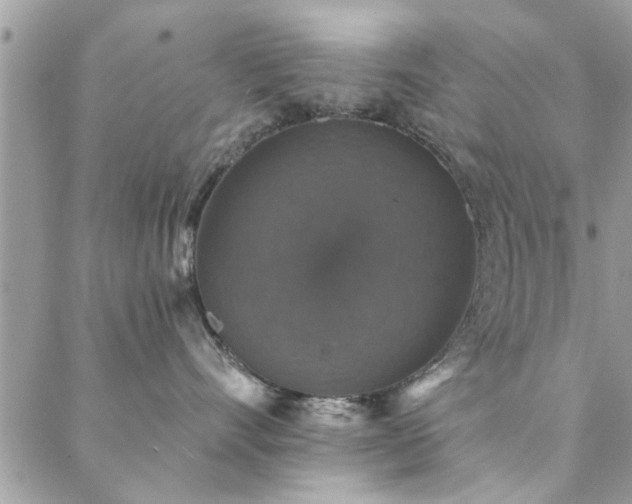 X0000088430528200705221250