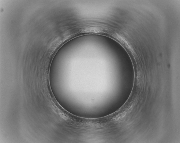 X0000088430529200705221249