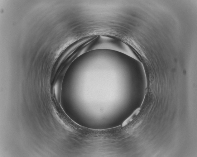 X0000088430530200705221249