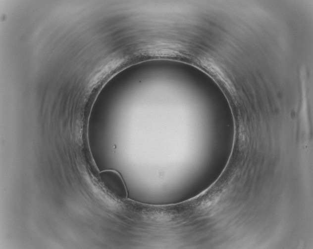 X0000088430533200705221249