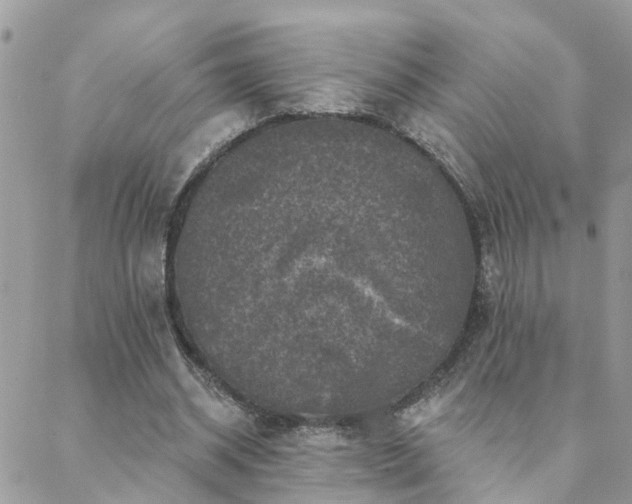 X0000088430534200705221249