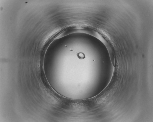 X0000088430535200705221249