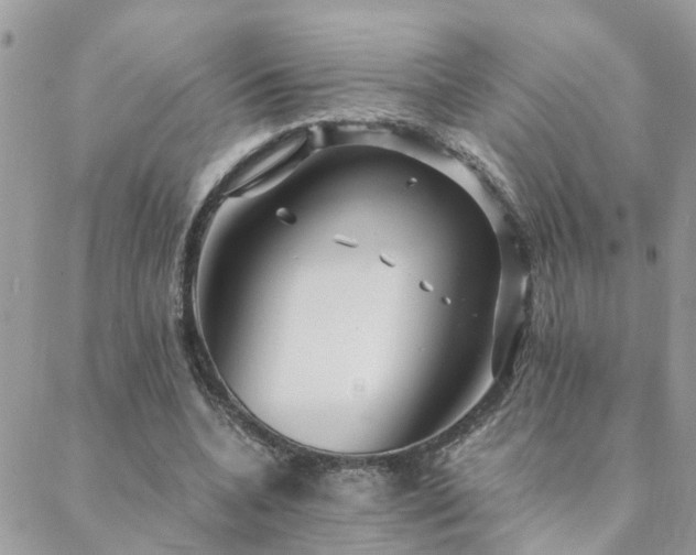 X0000088430536200705221249