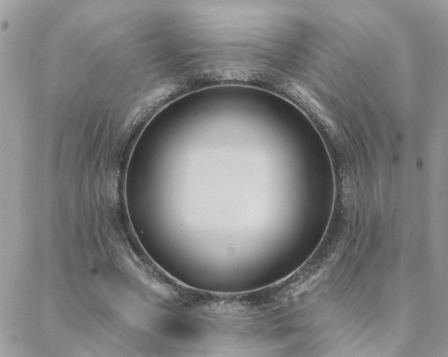 X0000088430537200705221249