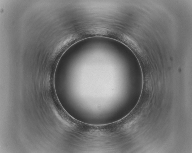 X0000088430538200705221249