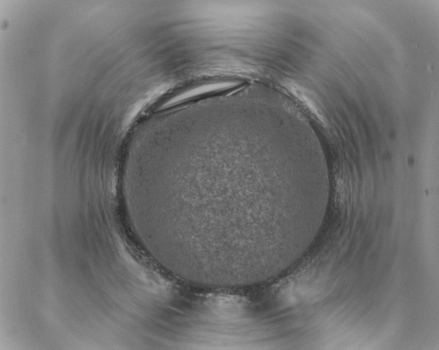 X0000088430539200705221250