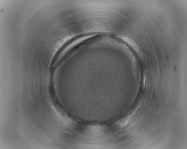 X0000088430540200705221250