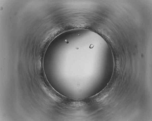 X0000088430541200705221250