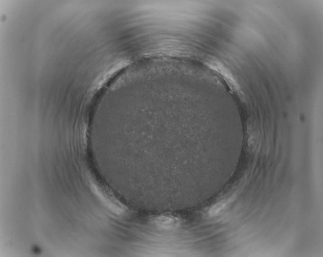 X0000088430542200705221250