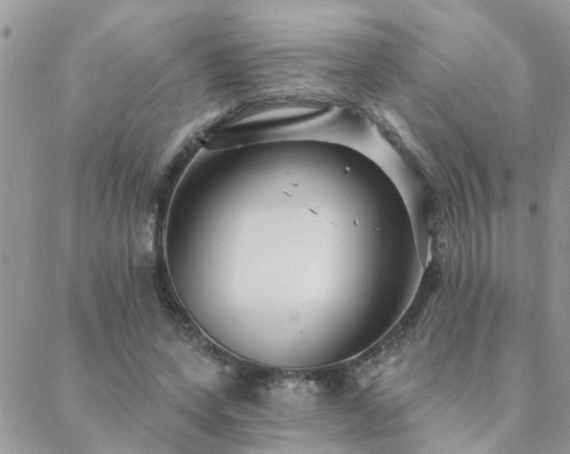 X0000088430543200705221250