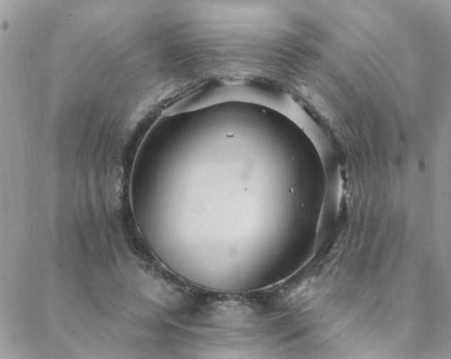 X0000088430544200705221250