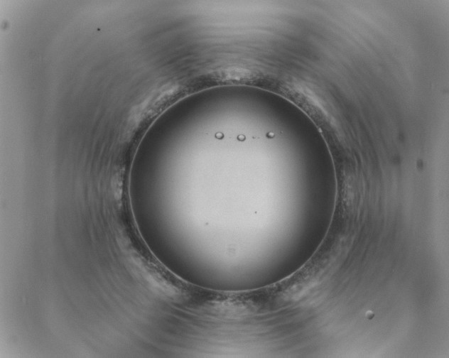 X0000088430545200705221250