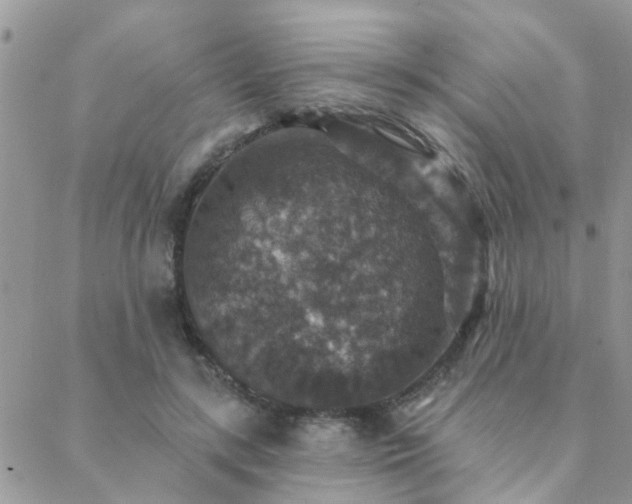 X0000088430547200705221250