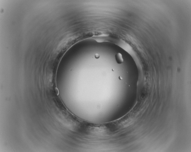 X0000088430548200705221250