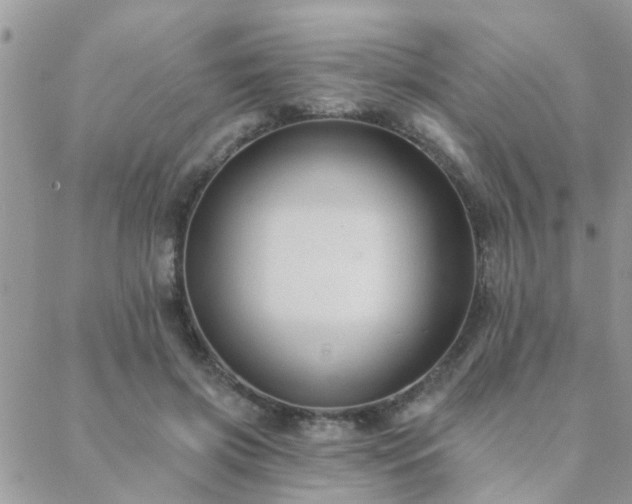 X0000088430549200705221250