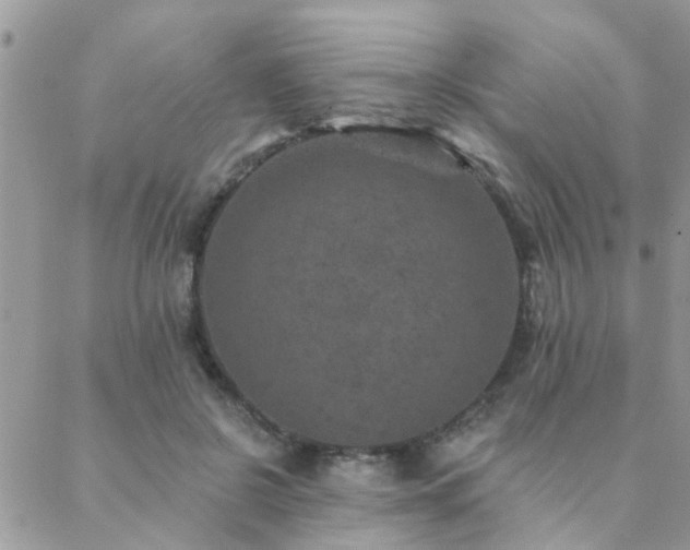 X0000088430550200705221250