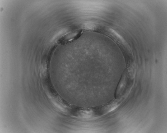 X0000088430552200705221250