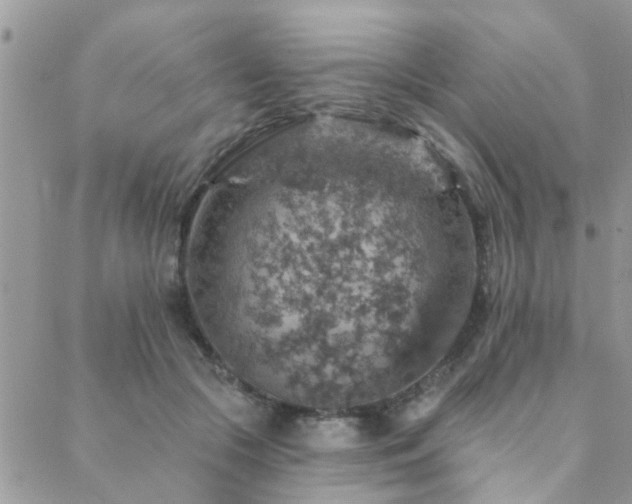 X0000088430553200705221250