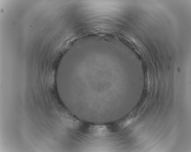 X0000088430554200705221250