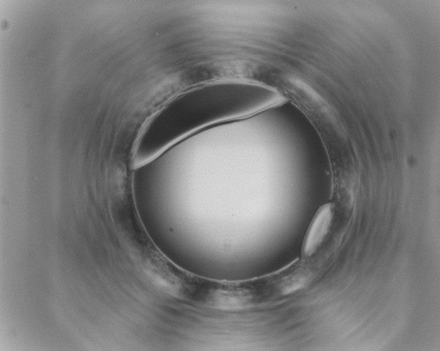 X0000088430556200705221250