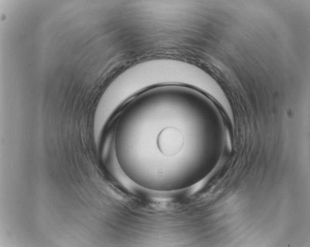 X0000088430558200705221250