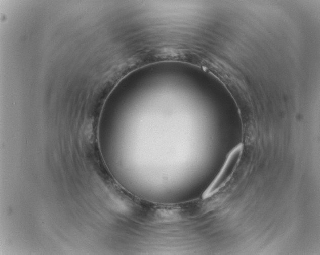 X0000088430560200705221250