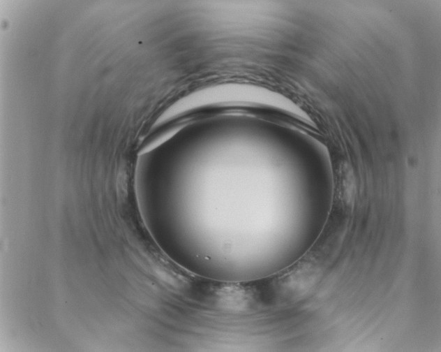 X0000088430562200705221250