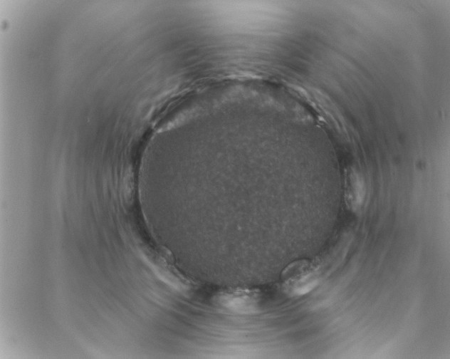 X0000088430563200705221250