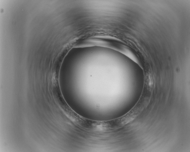 X0000088430564200705221250