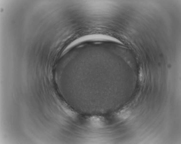 X0000088430566200705221250