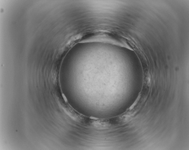 X0000088430568200705221250