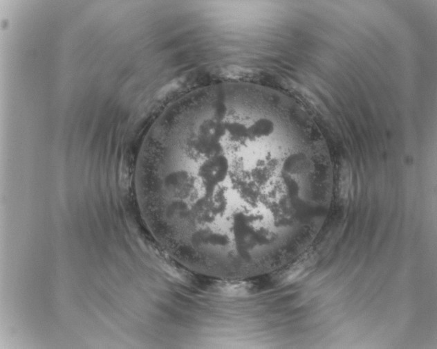 X0000088430569200705221250