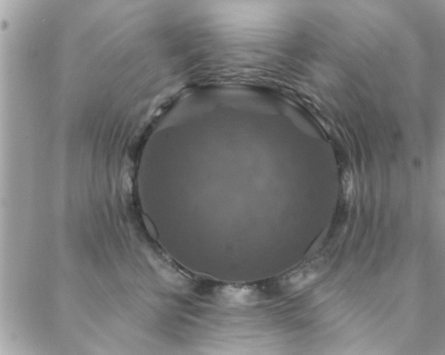 X0000088430570200705221250