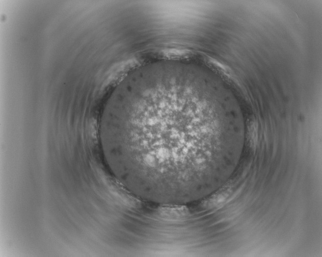 X0000088430571200705221250