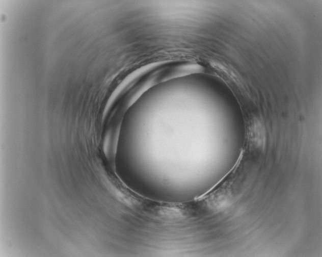 X0000088430572200705221250