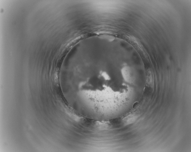 X0000088430573200705221250