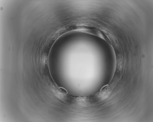 X0000088430574200705221250