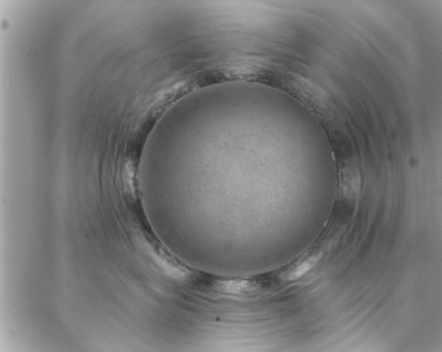 X0000088430575200705221250