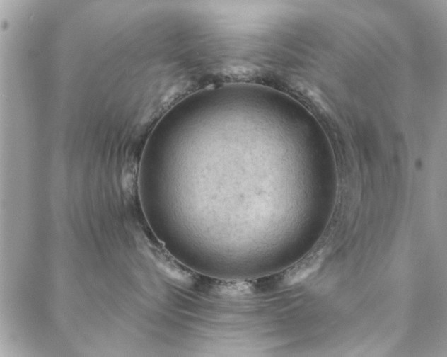 X0000088430576200705221250