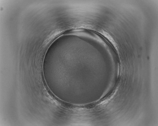 X0000088430577200705221249