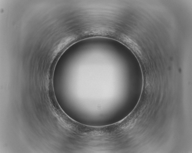 X0000088430578200705221249