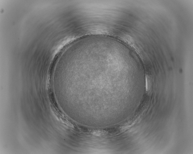 X0000088430579200705221249