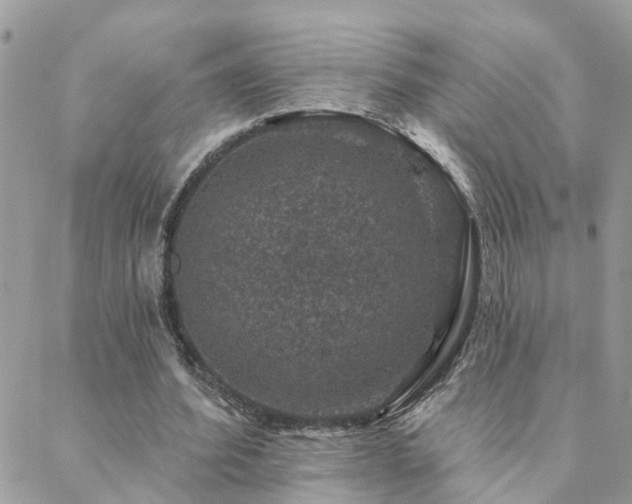 X0000088430580200705221249